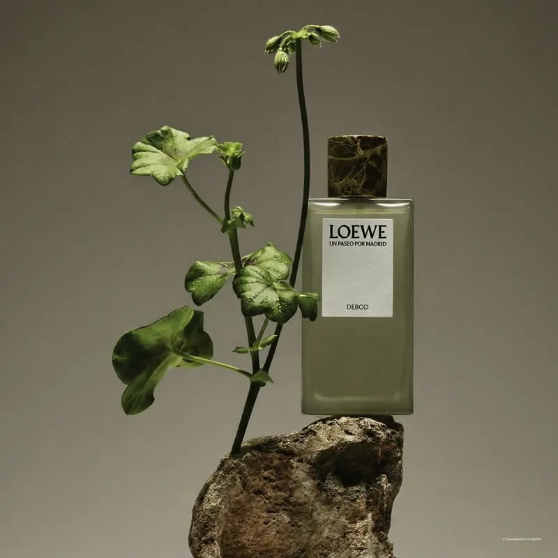 Loewe perfume bottle on a rock beside a green plant